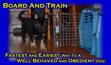 In Kennel Dog Training Ohio Michigan