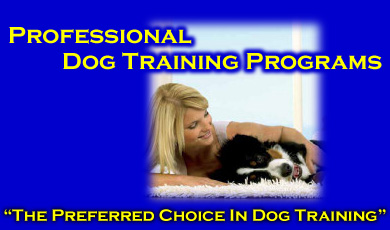 In Home Dog Training