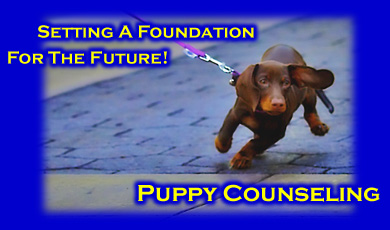 Puppy Training - Puppy Socialization - Puppy Obedience